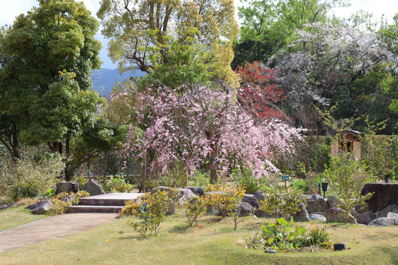 ガーデンへようこそ！