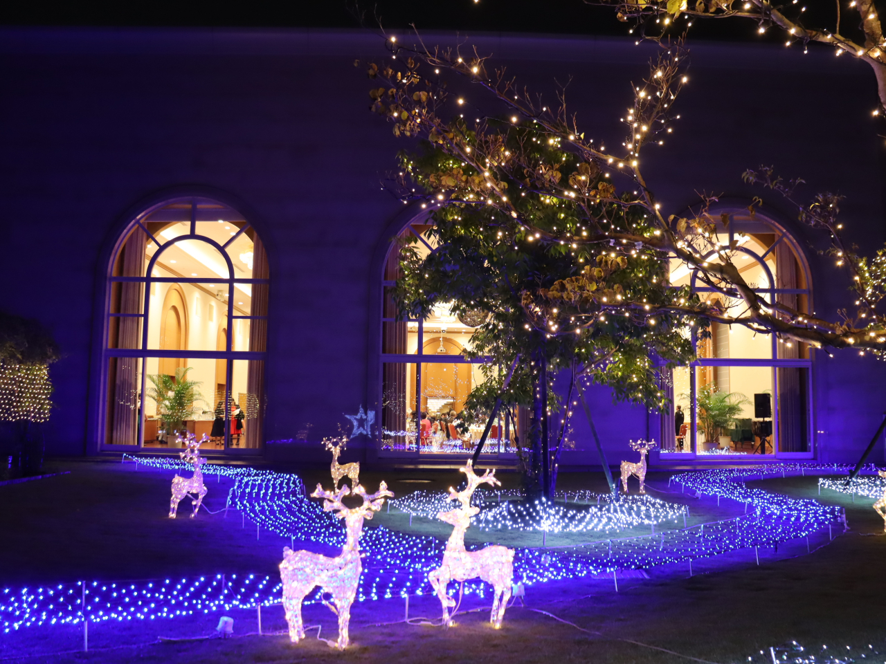 クリスマスイルミネーション点灯期間のお知らせ